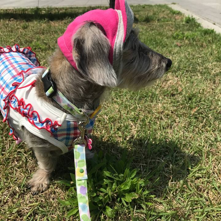 58b861f7 8f0c 4484 af23 713be642b4e6