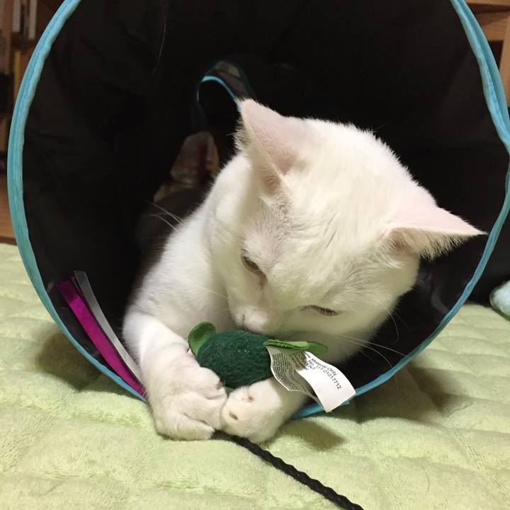 58b8ada6 60e1 4b6c 859e c17087a89ca8