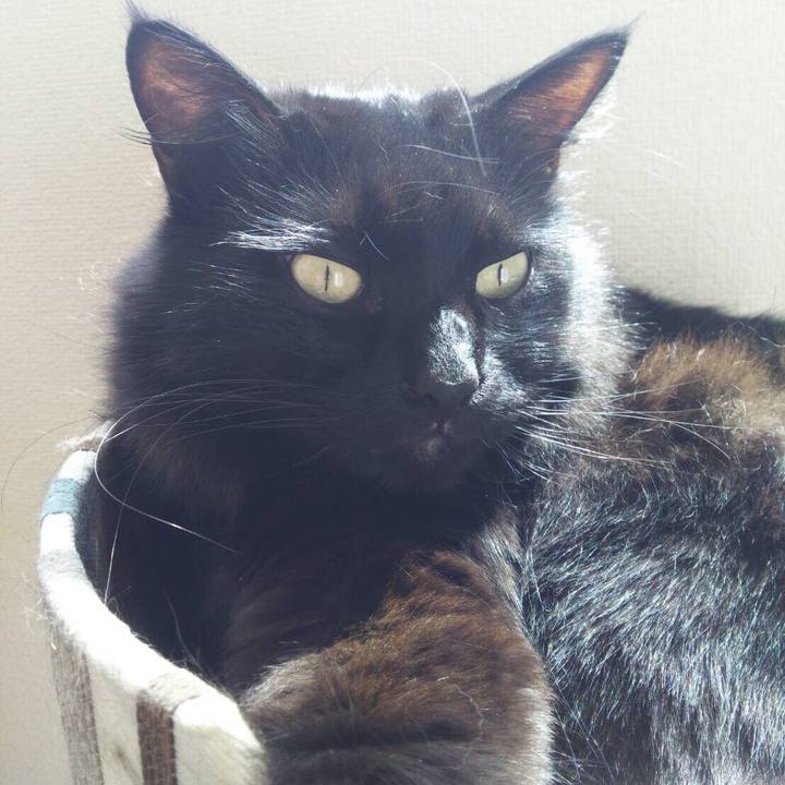 58b8be9a 64d1 418a 8b89 7248317a284f