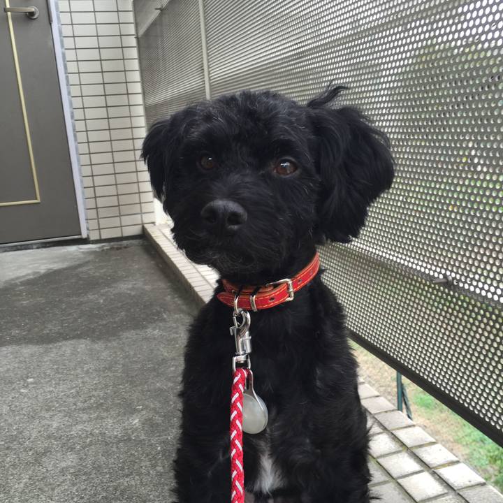 58b984c9 ee69 448f 82d3 d2fe73dfa512