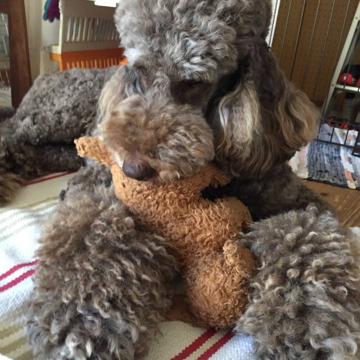 58b9b64a 549a 4d45 ba85 562dc039dbb8