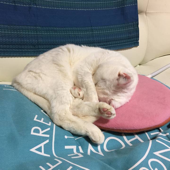 58b9f428 20c6 4fbe 93f6 b815ccfda309