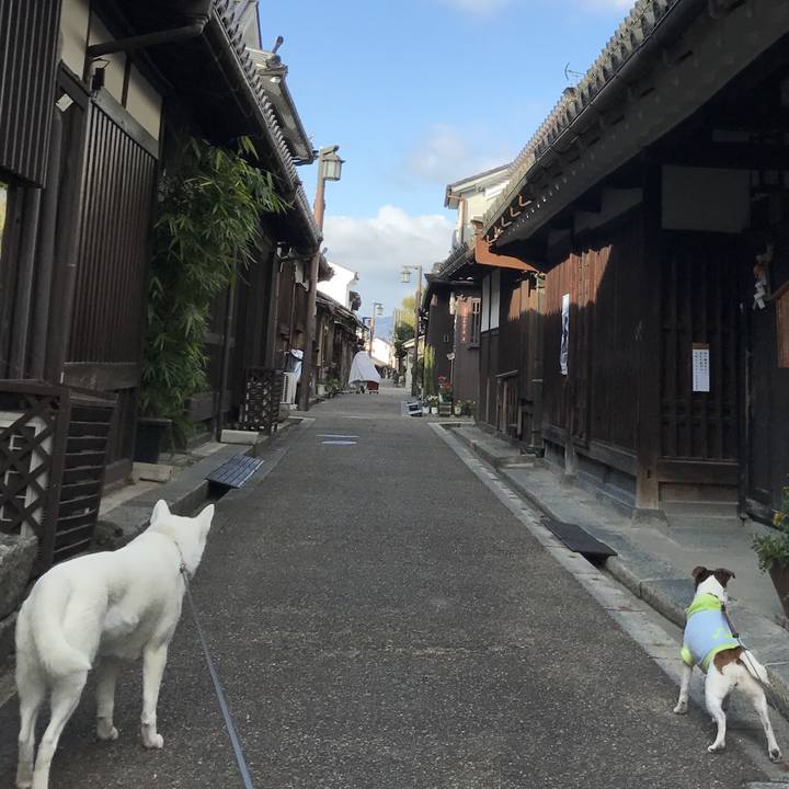 58ba32dc 7331 4c12 979e f8d2d637ad0f