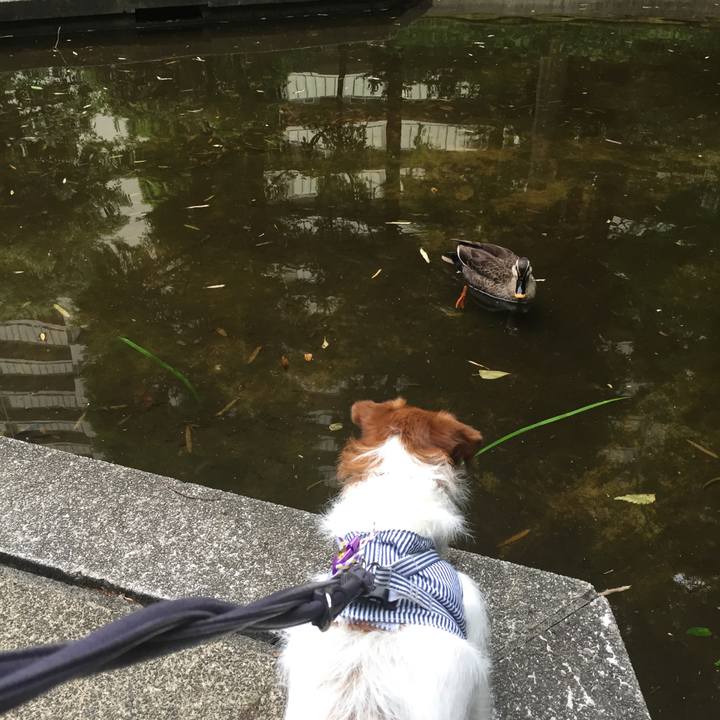 58ba3b82 739c 4660 95fa 3f8115300bcb