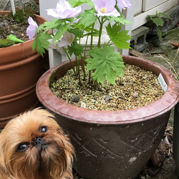 58bab3a1 e25c 4c2a bd08 4ccd61012103