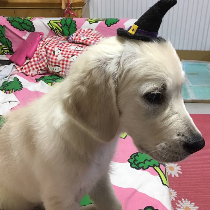 58bab6f7 c957 4a15 b5c0 e5699a584a69