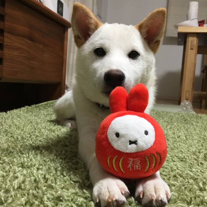 58baf965 23b4 43c2 a598 ff88b556d865