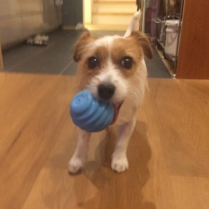 58bb0471 f0a0 4087 a98d 8de40f1080ba