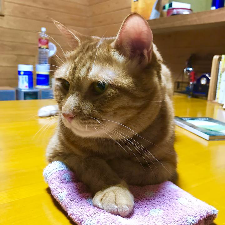 58bbb6cb 4056 4a25 ad6e 7113631585d6