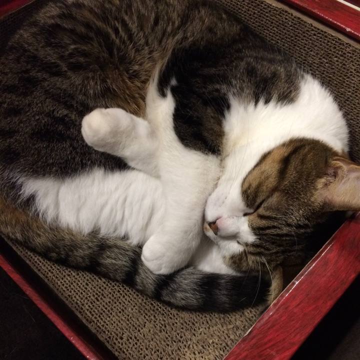 58bbc130 0fef 458a 8c47 0bfc63686a9f