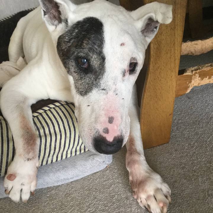 58bbd7ad c849 4386 91ba 3d10097fb63d