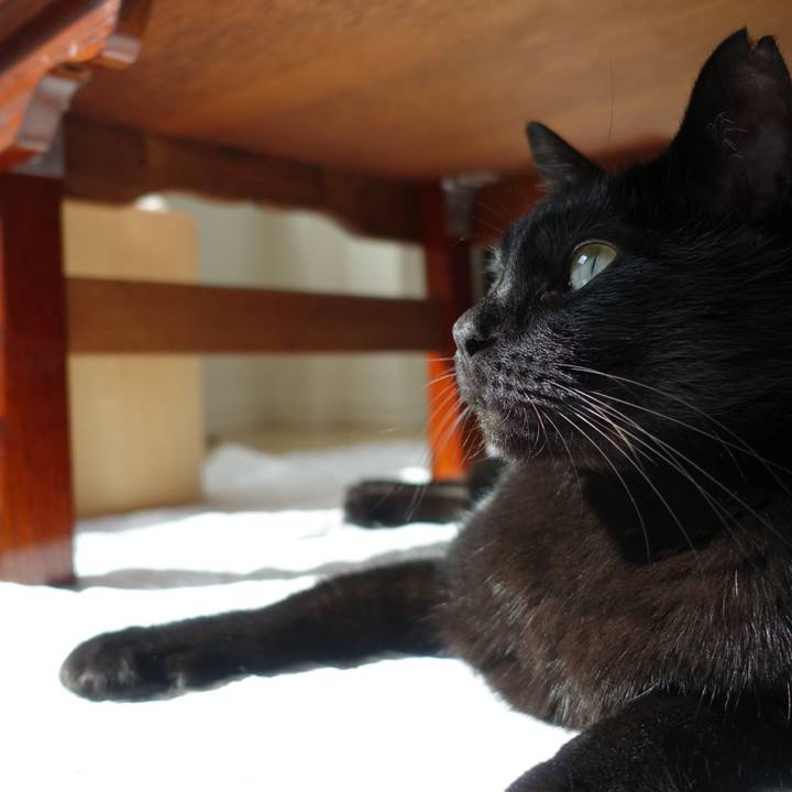 58bc1347 63f2 42b3 adf2 f44ce3d357e8