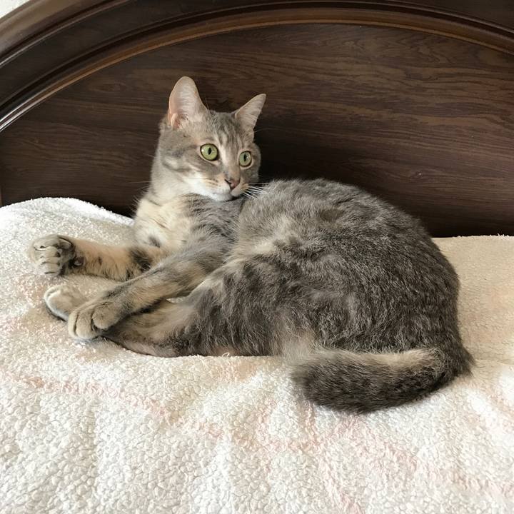 58bc7a03 6be3 411e 82c5 94886dfd5f5c