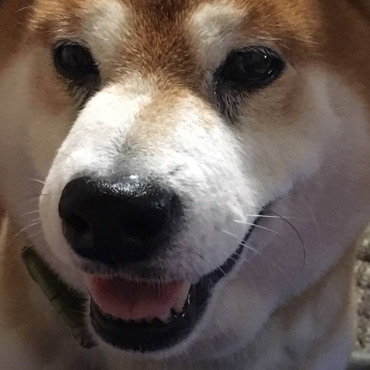 58bc7edc 2647 489e 95b0 6a842f4c4905