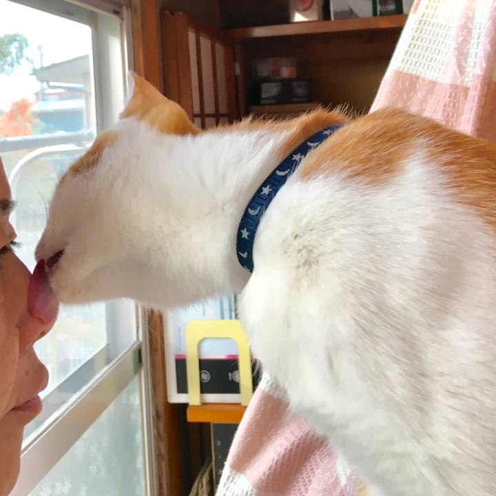 58bc97ff b10c 457d b5af 7233465f8da1