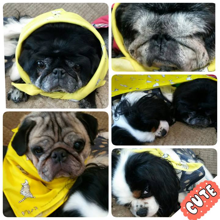 58bcda32 6215 4ddc 9676 1a735a14b9de