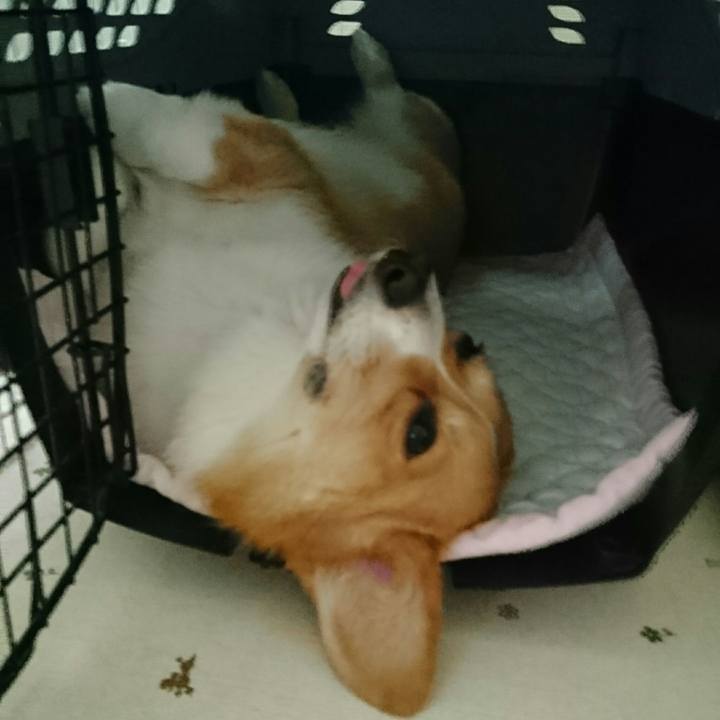 58bd9b94 6cfd 48f9 9419 dc8c398824e5