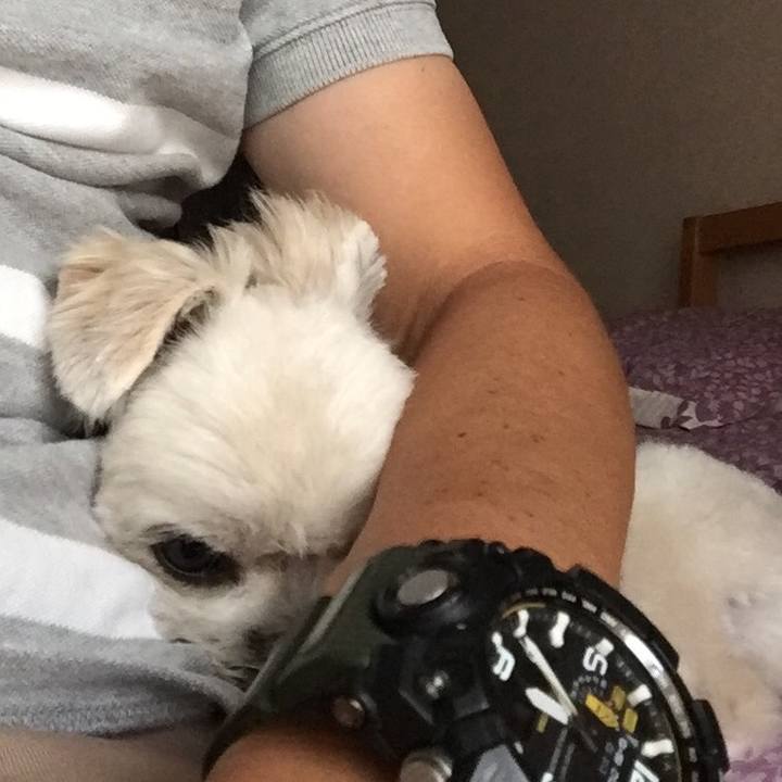 58bdb3d4 c369 4750 a981 6d236a3c8456