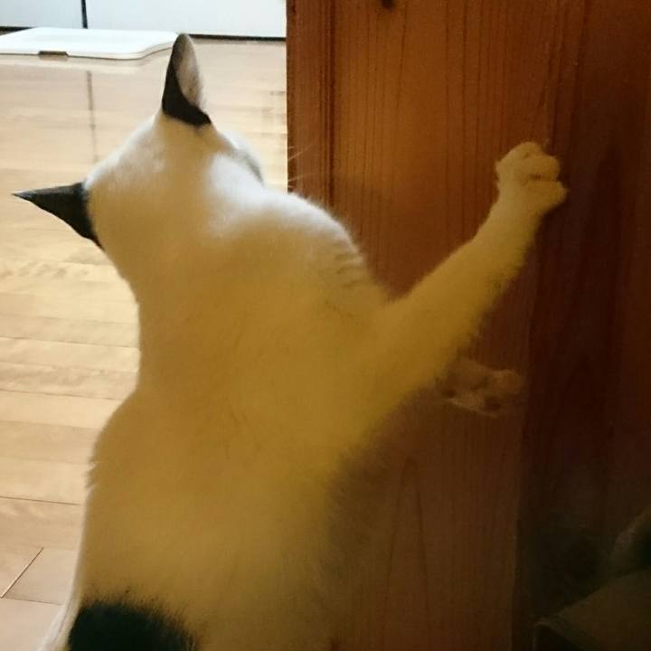 58be1564 e585 4001 8f92 49e433da2583