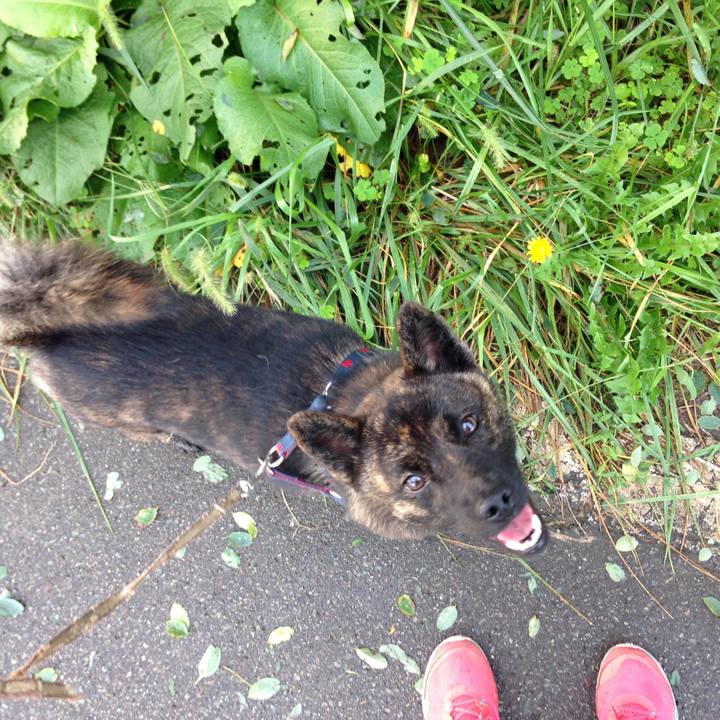 58bea177 7e07 4659 9dc1 74904193c645