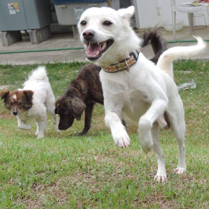 58bec5c4 eea5 4374 a952 9c11e25d276b