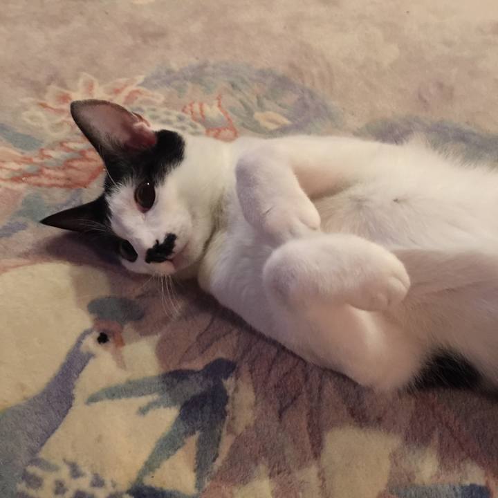 58bedad8 43ca 4b90 abb9 05440531f930