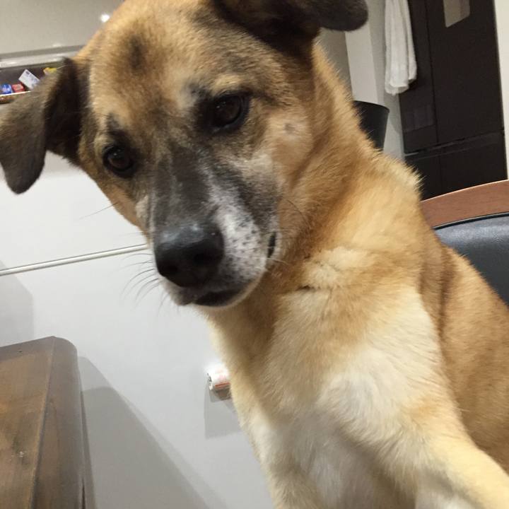 58bf55df 7215 46c1 b3a1 bd9273ff96d1