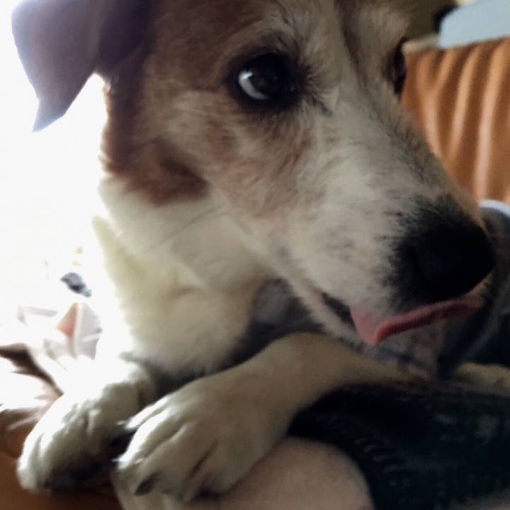 58bfb954 0e5c 4c0a a1b2 7e597ea25c7e