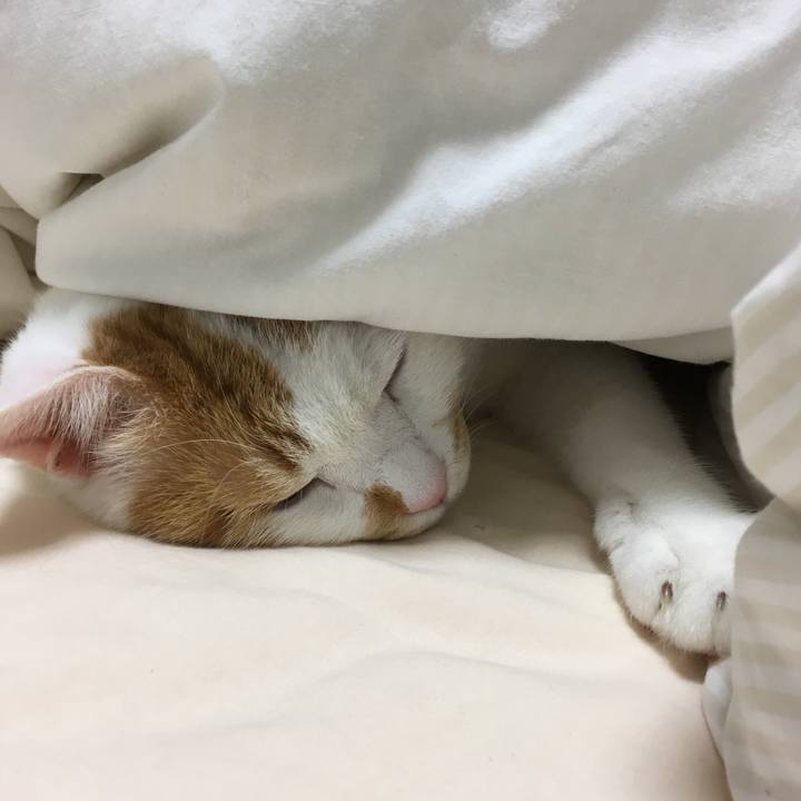 58bfc107 5295 4fed 9015 d43248d05241