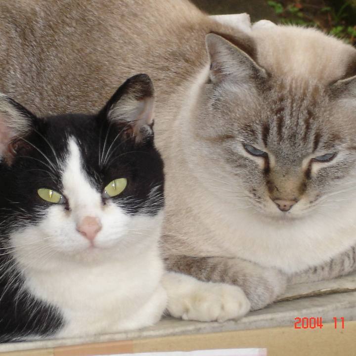 58bfe089 85d9 4bba 8780 f709a1eef5ee