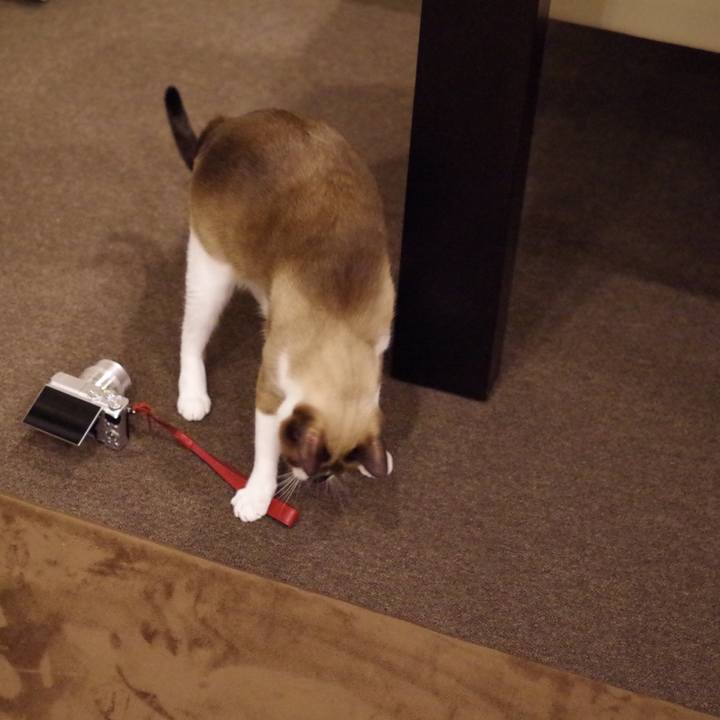 58c07083 46fc 49cf 8944 d149906c480d