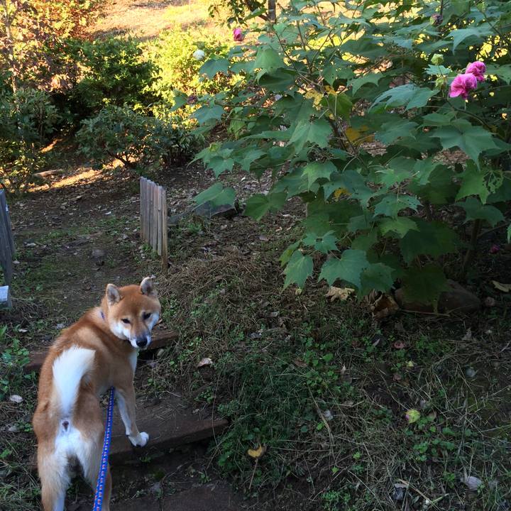 58c18cab 661c 47a9 8b50 686a2140c7c4