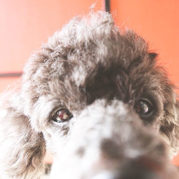 58c1fa87 ca2f 40ce a5d6 d9ffaf07094c