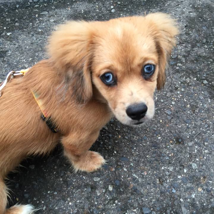 58c2b4af bdd9 4b67 8fb0 bbf6630594aa