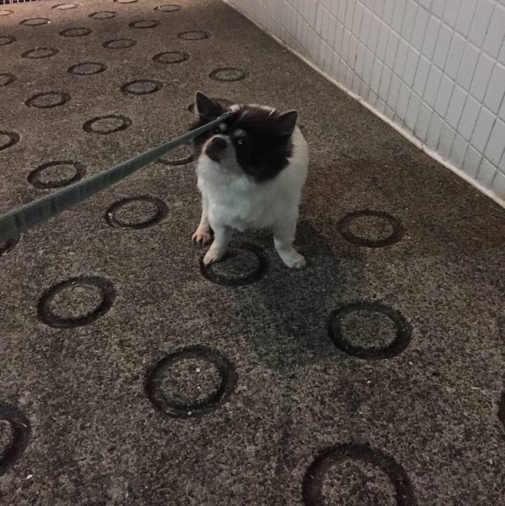 58c2b533 ad56 4339 a79a 67c5fdc832b2