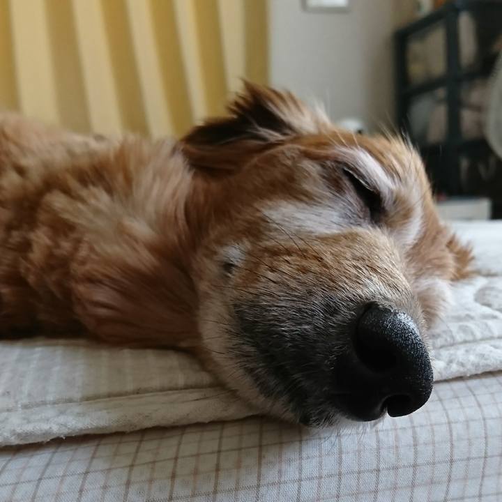 58c2fb6e a652 4cea 96c9 5890a9e45715