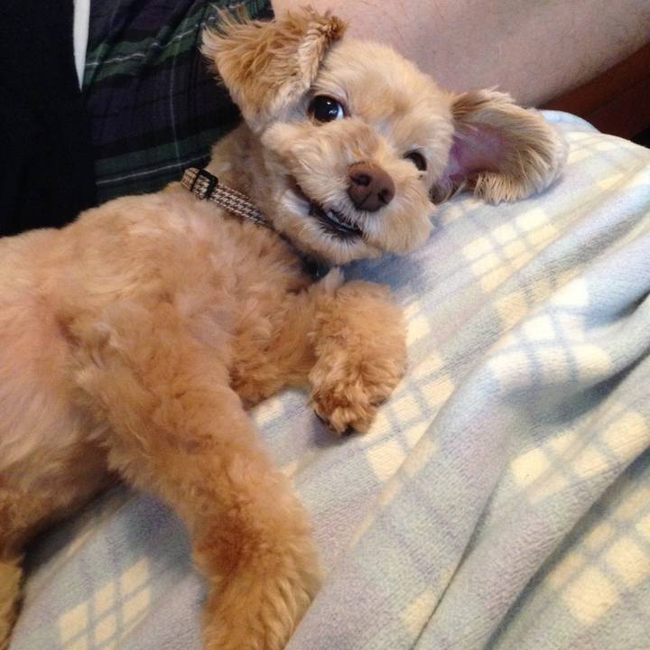 58c322b0 82e2 4473 a8b1 9c3acb9035e5