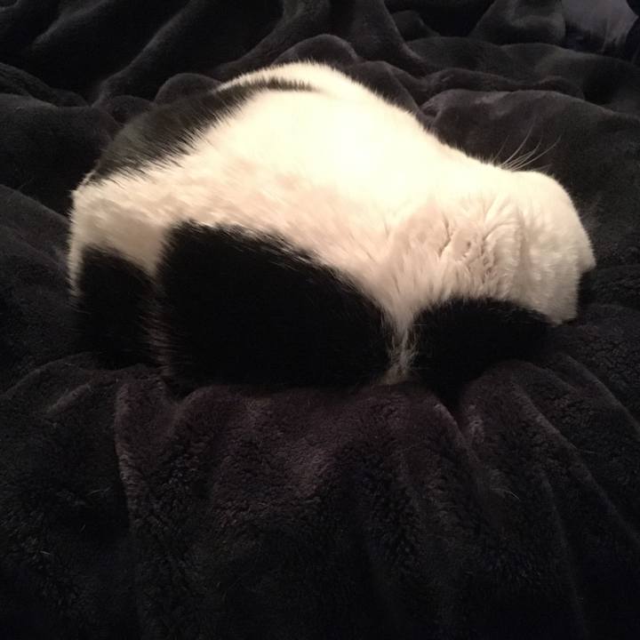 58c32b56 f1bf 457f b724 3eabc9ad120f