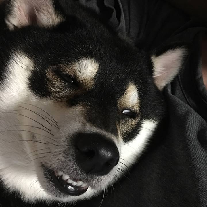 58c40df4 eecd 495f 9204 746cc9ff71f0