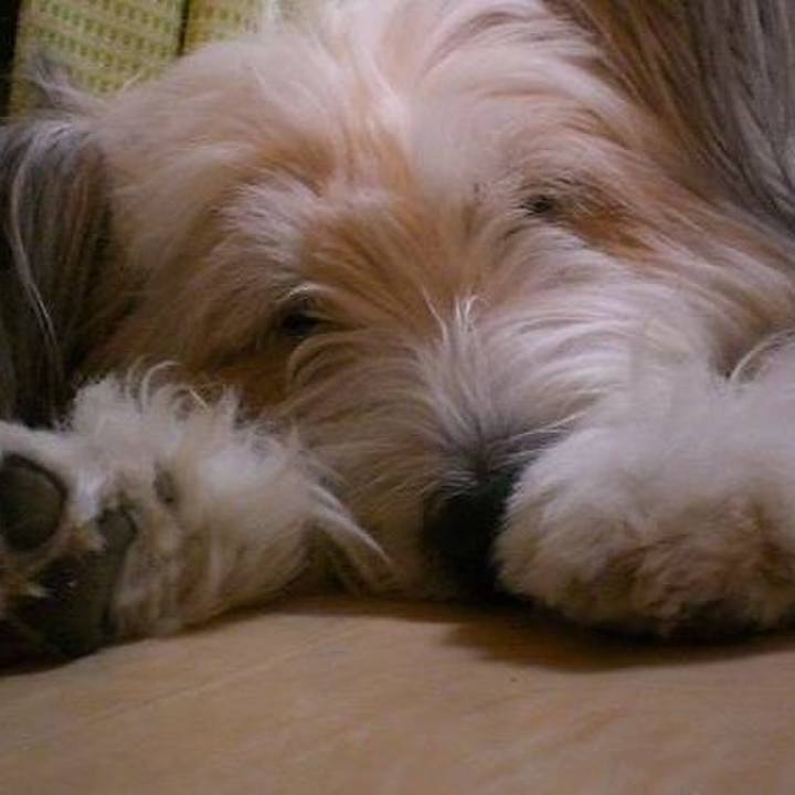 58c43349 e2c5 4228 9dc3 94852e2afe7a