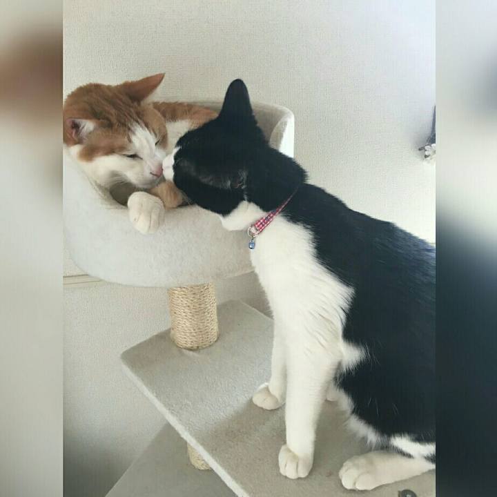 58c4992c b8c2 456e a56b fef1dc395e95