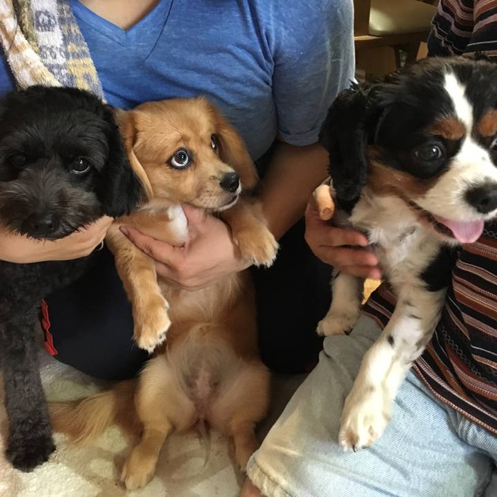 58c4d672 ce7d 4ca0 b789 3c34f8e66960