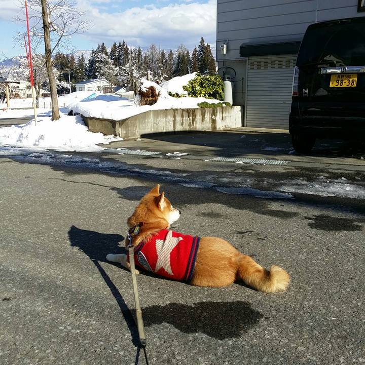 58c4ddf1 7045 4675 a95a e0cfe7a9d3c5