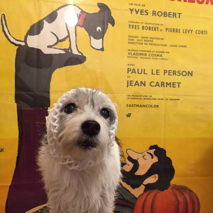 58c4de5d 8125 4453 b028 7cde31a20e1b