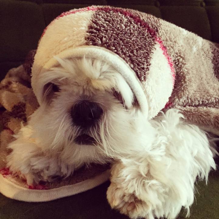 58c4e7dc b31d 4538 9f8d bb3238d5791c