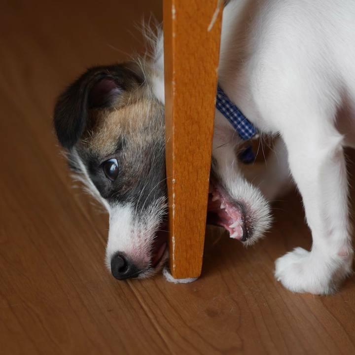 58c50846 9d48 4f4c 8f11 def94bf50e12