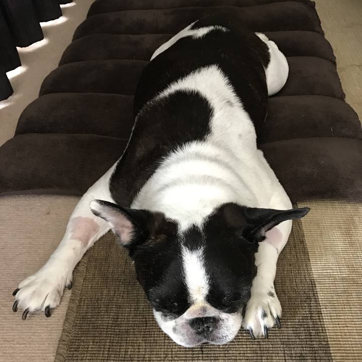 58c60e2c 4e7c 47b0 b727 ee389bf434b2