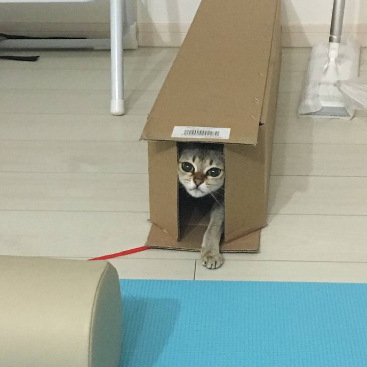 58c639a3 e225 41bc b099 70ec5c503626