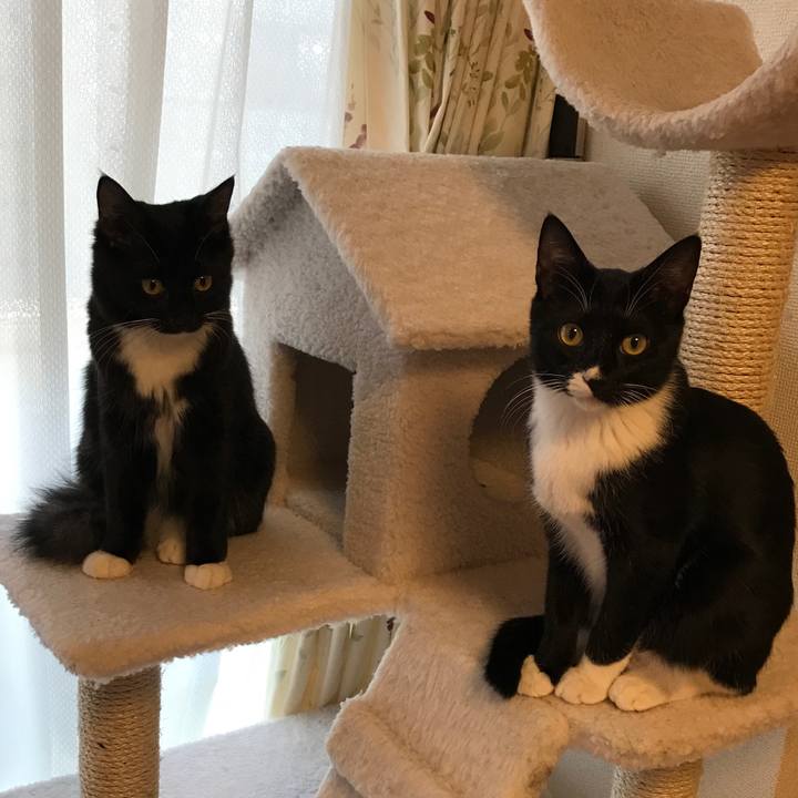 58c68610 a4b6 4925 a791 7ac66214ee22