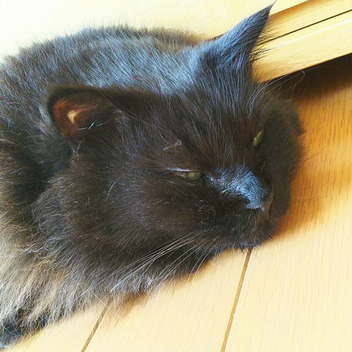 58c6b3d0 aff2 465c 90fc 09bd059590ba